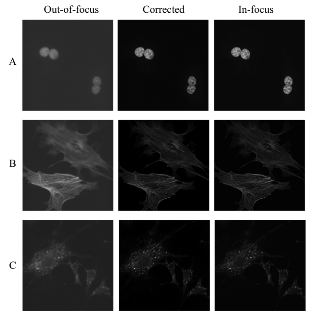 Single FOV correction