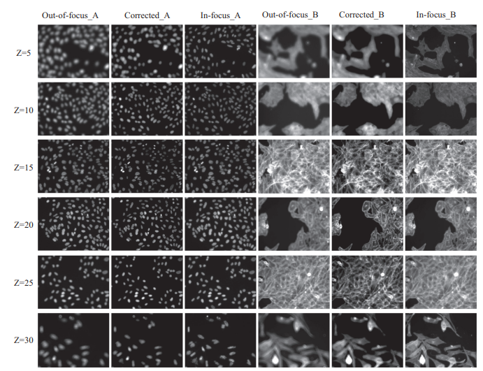 Z-stack deblurring across depths
